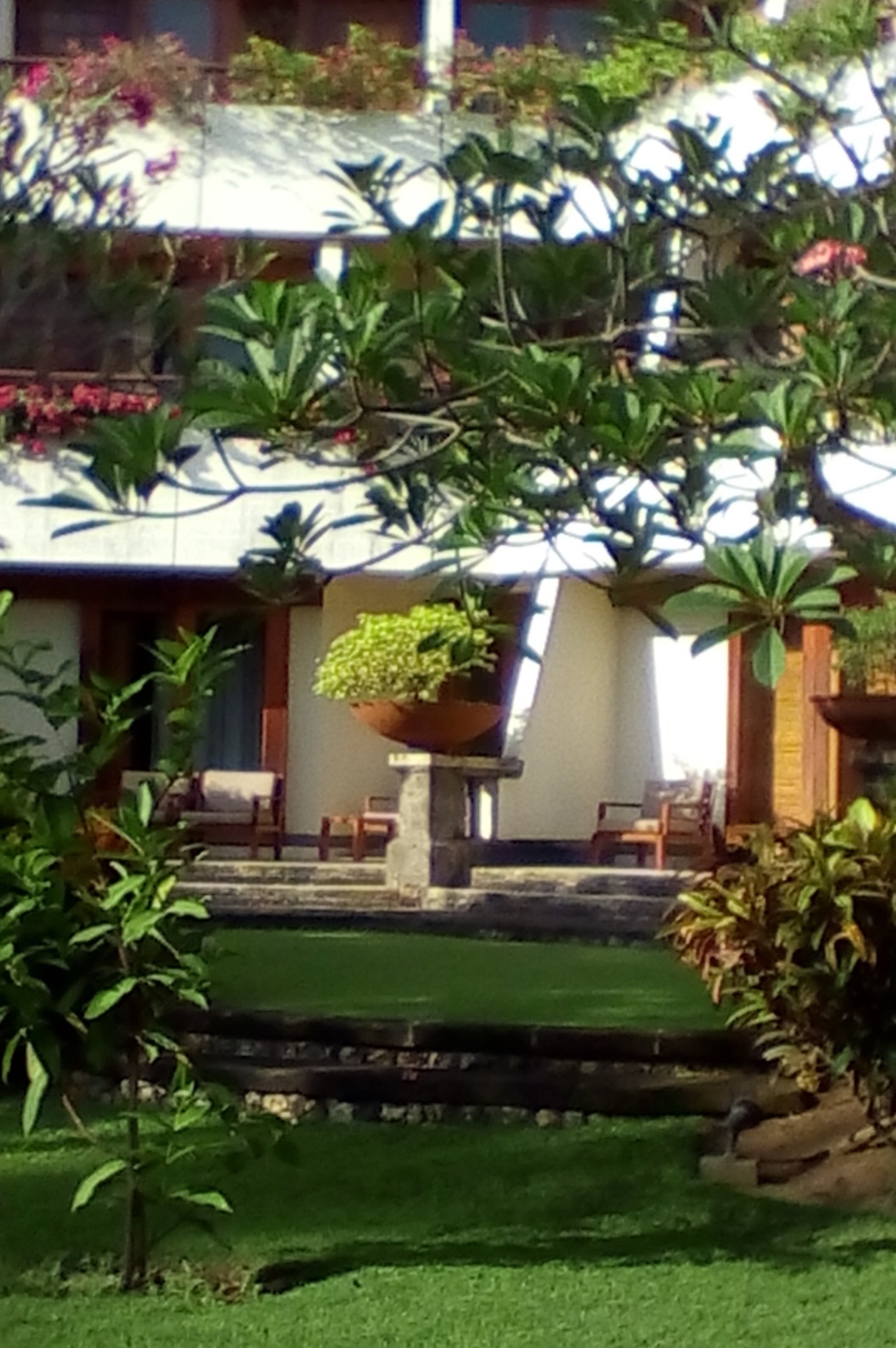 IMG_20150523_082655 copy.jpg