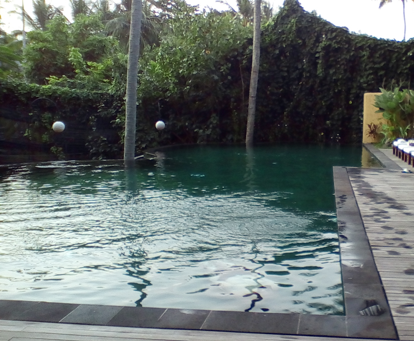 IMG_20150523_172715 copy.jpg