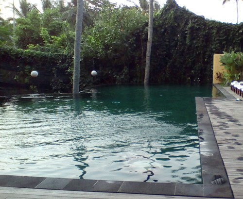 IMG_20150523_172715 copy.jpg