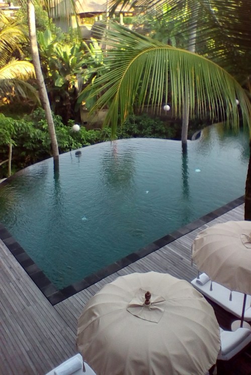 IMG_20150524_072306 copy