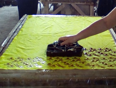 IMG_20150524_095122 copy