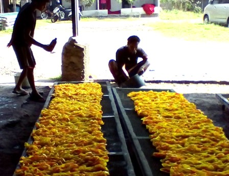 IMG_20150524_101025 copy