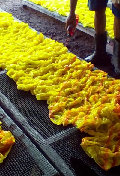 IMG_20150524_101100 copy