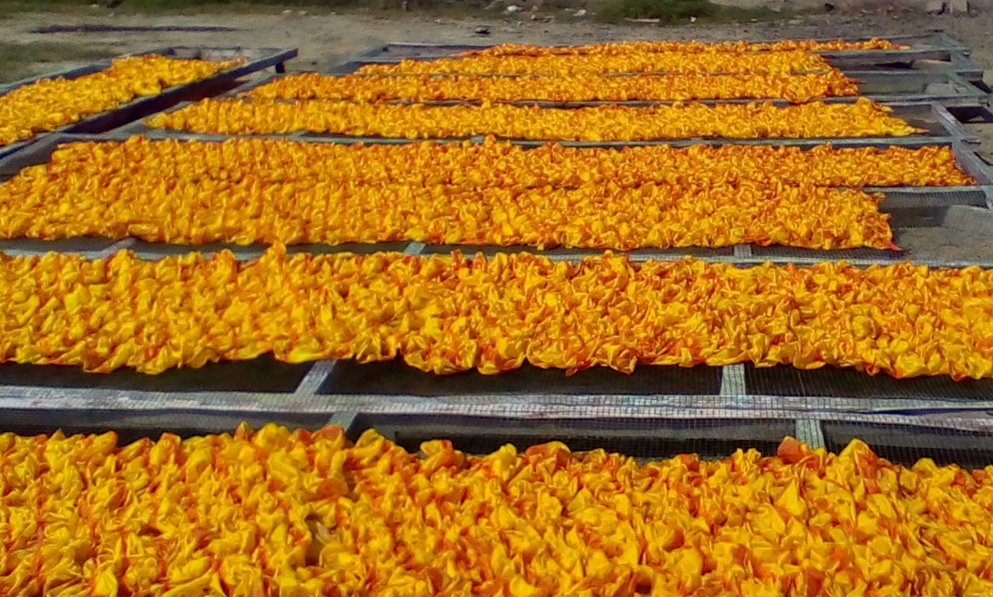 IMG_20150524_104006 copy